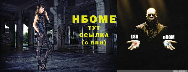 спиды Алзамай