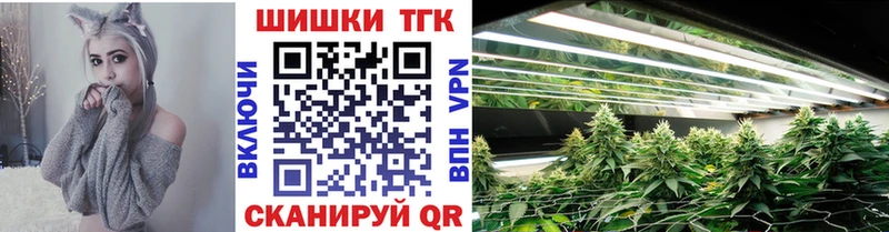 Каннабис планчик Томск