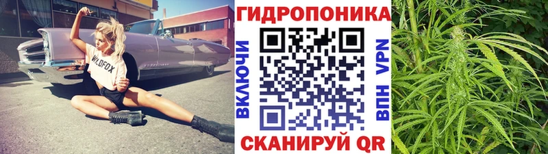Каннабис ГИДРОПОН  Томск 
